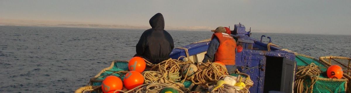 gallery/pisces-environmental-services-fieldwork7