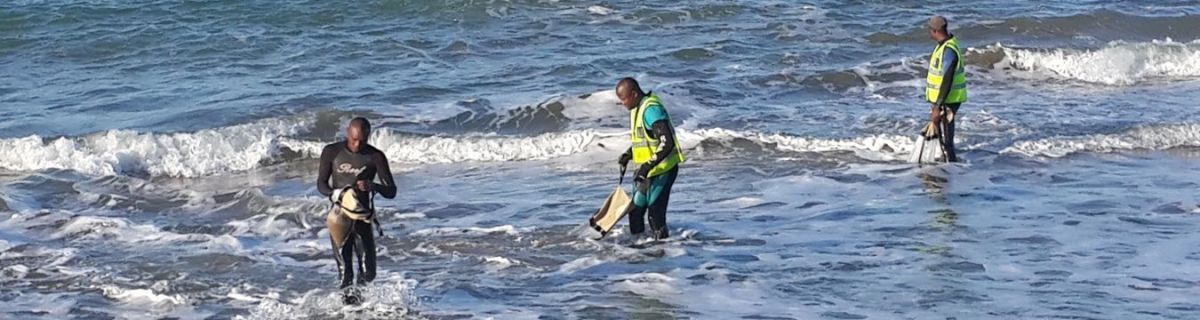 gallery/pisces-environmental-services-fieldwork8