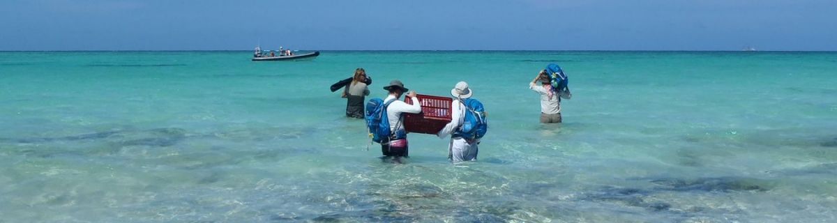 gallery/pisces-environmental-services-fieldwork11