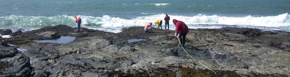 gallery/pisces-environmental-services-fieldwork9